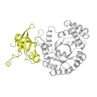 The deposited structure of PDB entry 1rld contains 2 copies of SCOP domain 54967 (Ribulose 1,5-bisphosphate carboxylase-oxygenase) in Ribulose bisphosphate carboxylase large chain. Showing 1 copy in chain A.