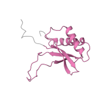 The deposited structure of PDB entry 1rld contains 2 copies of Pfam domain PF00101 (Ribulose bisphosphate carboxylase, small chain) in Ribulose bisphosphate carboxylase small subunit, chloroplastic. Showing 1 copy in chain B [auth S].
