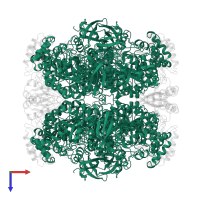 Ribulose bisphosphate carboxylase large chain in PDB entry 1rld, assembly 1, top view.