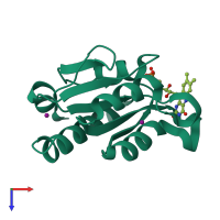 PDB entry 1rlj coloured by chain, top view.