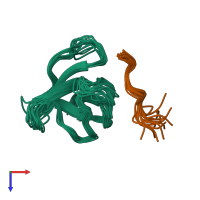 PDB entry 1rlp coloured by chain, ensemble of 16 models, top view.