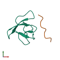 Hetero dimeric assembly 1 of PDB entry 1rlq coloured by chemically distinct molecules, front view.