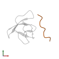 PROLINE-RICH LIGAND RLP2 (RALPPLPRY) in PDB entry 1rlq, assembly 1, front view.