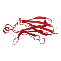 The deposited structure of PDB entry 1rlw contains 1 copy of CATH domain 2.60.40.150 (Immunoglobulin-like) in Cytosolic phospholipase A2. Showing 1 copy in chain A.