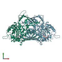 PDB entry 1rm0 coloured by chain, front view.