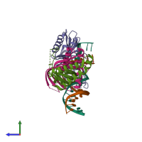 PDB entry 1rm1 coloured by chain, side view.