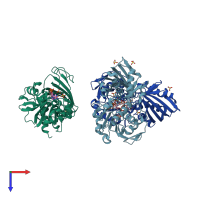 PDB entry 1rm3 coloured by chain, top view.