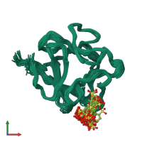 PDB entry 1rml coloured by chain, ensemble of 26 models, front view.
