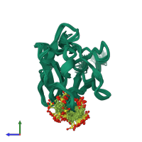 PDB entry 1rml coloured by chain, ensemble of 26 models, side view.