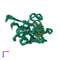 PDB entry 1rml coloured by chain, ensemble of 26 models, top view.