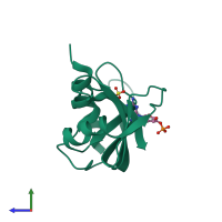 PDB entry 1rnd coloured by chain, side view.