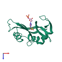 PDB entry 1rnd coloured by chain, top view.