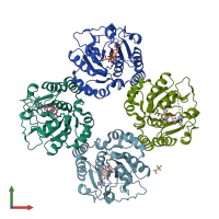 PDB entry 1ro7 coloured by chain, front view.