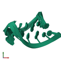 PDB entry 1roq coloured by chain, ensemble of 10 models, front view.