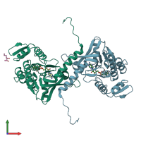 PDB entry 1rp0 coloured by chain, front view.