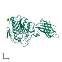 PDB entry 1rp1 coloured by chain, front view.