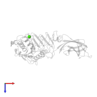 CALCIUM ION in PDB entry 1rp1, assembly 1, top view.
