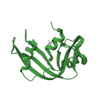 The deposited structure of PDB entry 1rpf contains 1 copy of SCOP domain 54077 (Ribonuclease A-like) in Ribonuclease pancreatic. Showing 1 copy in chain A.