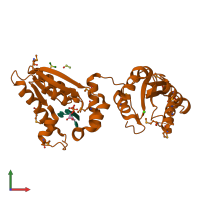 PDB entry 1rpz coloured by chain, front view.