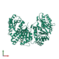 Homo dimeric assembly 1 of PDB entry 1rq2 coloured by chemically distinct molecules, front view.