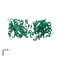 Homo dimeric assembly 1 of PDB entry 1rq2 coloured by chemically distinct molecules, top view.