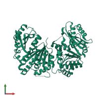 Cell division protein FtsZ in PDB entry 1rq2, assembly 1, front view.