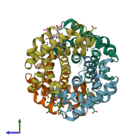 PDB entry 1rq3 coloured by chain, side view.