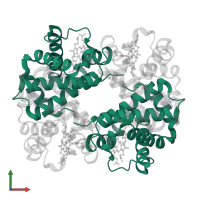 Hemoglobin subunit alpha in PDB entry 1rqa, assembly 1, front view.