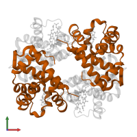 Hemoglobin subunit beta in PDB entry 1rqa, assembly 1, front view.