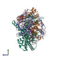 PDB entry 1rqk coloured by chain, side view.