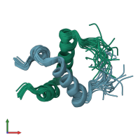 PDB entry 1rqt coloured by chain, ensemble of 20 models, front view.