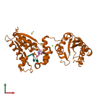 PDB entry 1rrc coloured by chain, front view.