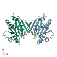 3D model of 1rrg from PDBe