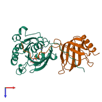 Hetero dimeric assembly 2 of PDB entry 1rrp coloured by chemically distinct molecules, top view.