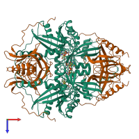 Hetero octameric assembly 3 of PDB entry 1rrp coloured by chemically distinct molecules, top view.