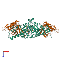 Hetero tetrameric assembly 4 of PDB entry 1rrp coloured by chemically distinct molecules, top view.