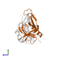 E3 SUMO-protein ligase RanBP2 in PDB entry 1rrp, assembly 1, side view.