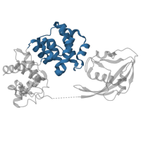 The deposited structure of PDB entry 1rrq contains 1 copy of CATH domain 1.10.340.30 (Endonuclease III; domain 1) in Adenine DNA glycosylase. Showing 1 copy in chain C [auth A].