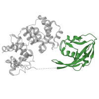 The deposited structure of PDB entry 1rrq contains 1 copy of CATH domain 3.90.79.10 (Nucleoside Triphosphate Pyrophosphohydrolase) in Adenine DNA glycosylase. Showing 1 copy in chain C [auth A].