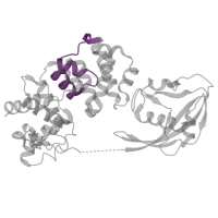 The deposited structure of PDB entry 1rrq contains 1 copy of Pfam domain PF00633 (Helix-hairpin-helix motif) in Adenine DNA glycosylase. Showing 1 copy in chain C [auth A].