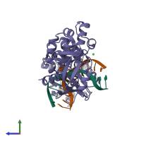 PDB entry 1rrq coloured by chain, side view.