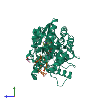Hetero dimeric assembly 1 of PDB entry 1rrv coloured by chemically distinct molecules, side view.