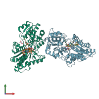 3D model of 1rrv from PDBe