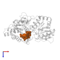 DESVANCOSAMINYL VANCOMYCIN in PDB entry 1rrv, assembly 2, top view.