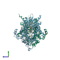 PDB entry 1rsg coloured by chain, side view.