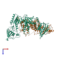 PDB entry 1rt2 coloured by chain, top view.