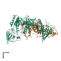 PDB entry 1rt6 coloured by chain, top view.