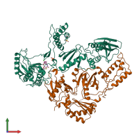 PDB entry 1rt7 coloured by chain, front view.