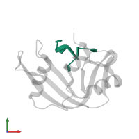 DNA (5'-D(*TP*TP*TP*T)-3') in PDB entry 1rta, assembly 1, front view.