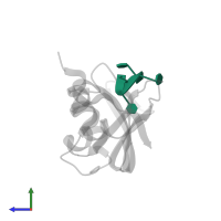 DNA (5'-D(*TP*TP*TP*T)-3') in PDB entry 1rta, assembly 1, side view.